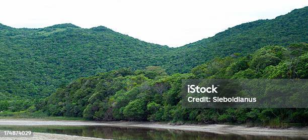 Tropical Woodlands Along The Coast Of Santa Catarina Brazil Stock Photo - Download Image Now