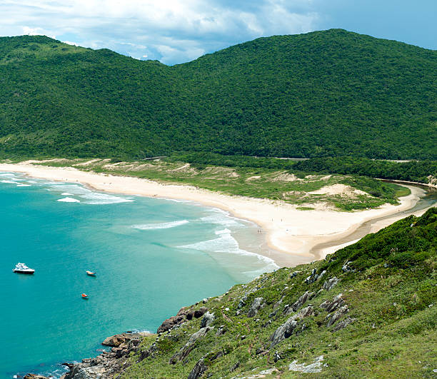 Solitary beach along the endless coast of Brazil. stock photo