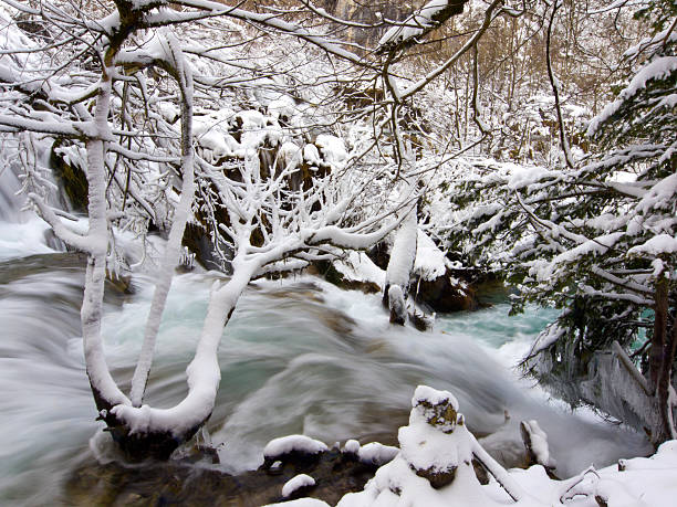 겨울맞이 데테일 - plitvice lakes national park croatia winter sparse 뉴스 사진 이미지