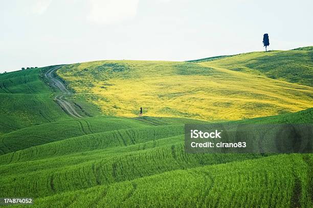 Paisaje De Toscana Durante La Primavera Foto de stock y más banco de imágenes de Agricultura - Agricultura, Aire libre, Ajardinado