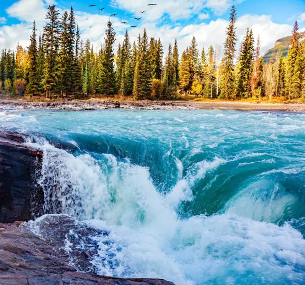 Photo of Athabasca Falls