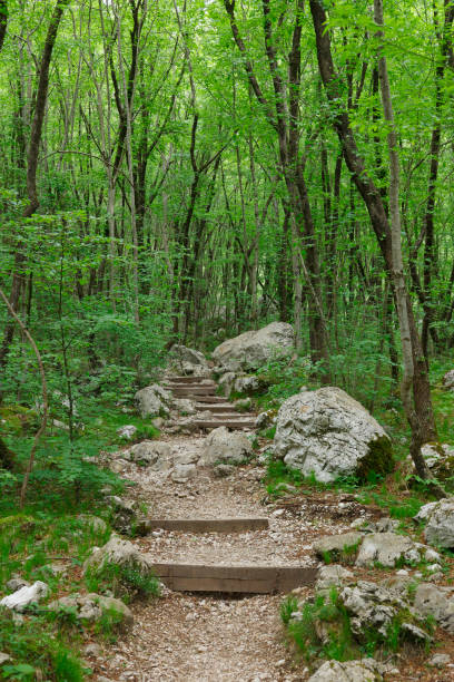 istock Nature path to Waterfall Boka in Triglav National Park 1748745722