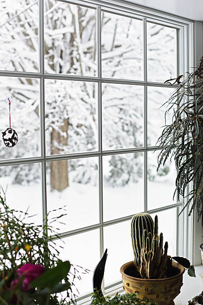 tranquilo ventisca de invierno junto a la ventana panorámica - isweather2013 fotografías e imágenes de stock