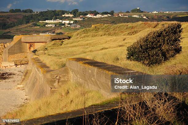 Stouen Bay Jersey - Fotografie stock e altre immagini di Albero - Albero, Ambientazione esterna, Architettura