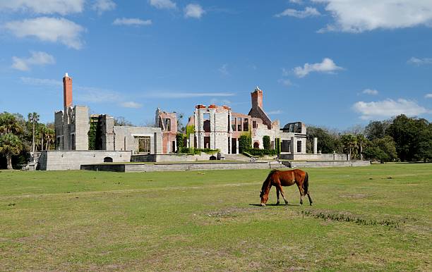 rovine di carnegie mansion on cumberland island, georgia - cumberland island georgia old ruin horse foto e immagini stock