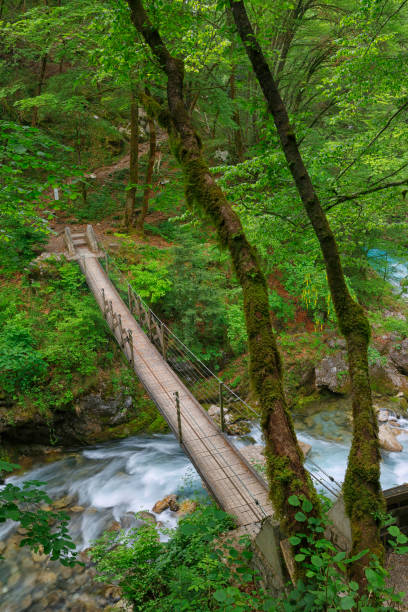 istock Beautiful landscape of Tolmin Gorges 1748760148