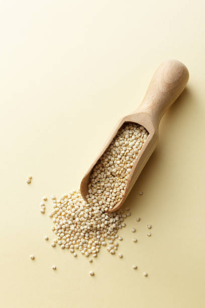 istock Beans, Lentils, Peas and Grains: Quinoa Still Life 174876086