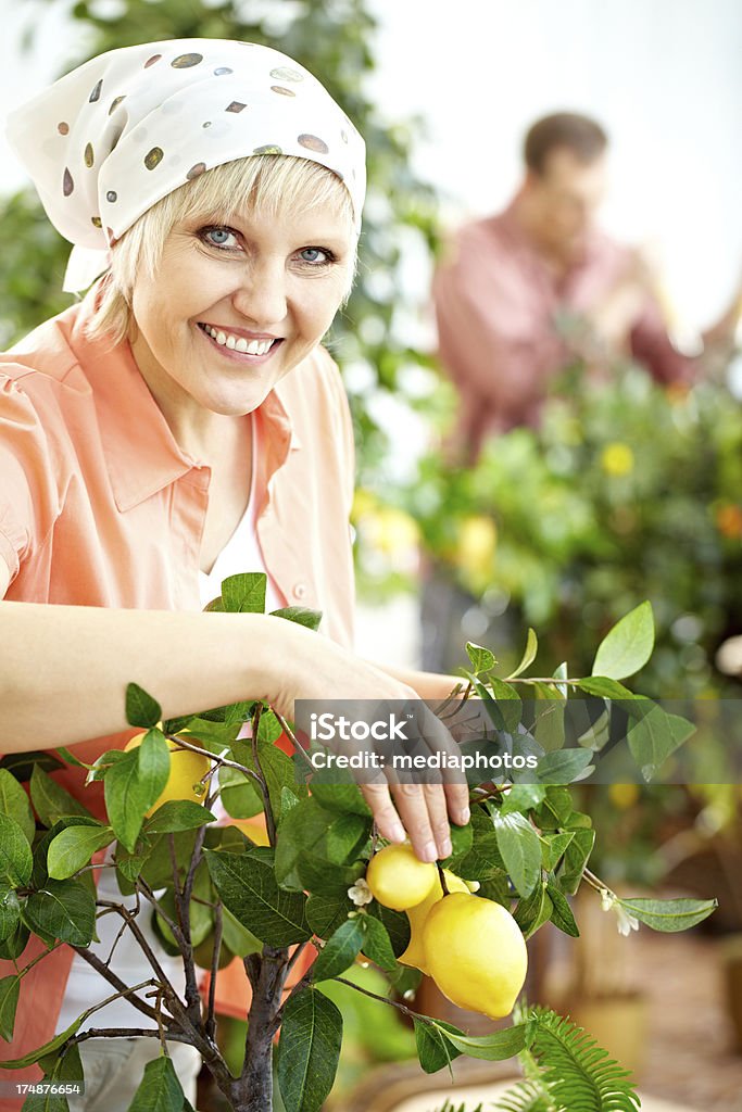 Orchard - Photo de Femmes d'âge mûr libre de droits