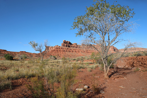 Early morning at Monument Valley Navajo Tribal Park, USA.