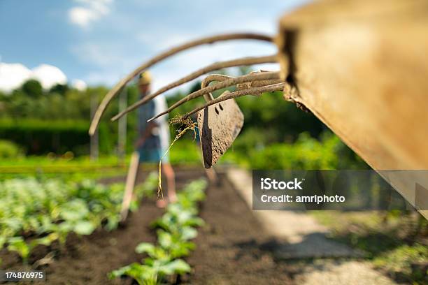 Nahaufnahme Gärtnern Tools Stockfoto und mehr Bilder von Agrarbetrieb - Agrarbetrieb, Bauernberuf, Erdreich