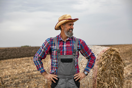 Portrait of confident middle-aged farmer. Business success in the corn field. In the background bales of corn.