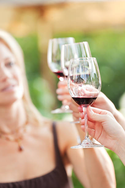 istock Close-up of Wineglasses in Wine Tasting 174877276