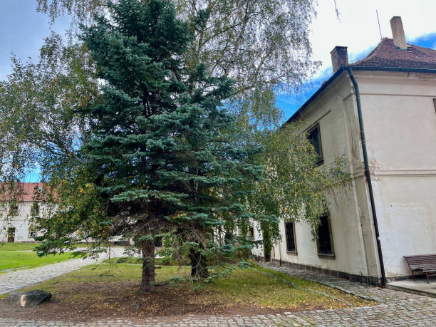 istock Courtyard of Monastery Osek. Old stables Osegg. Czech Republic 1748774090