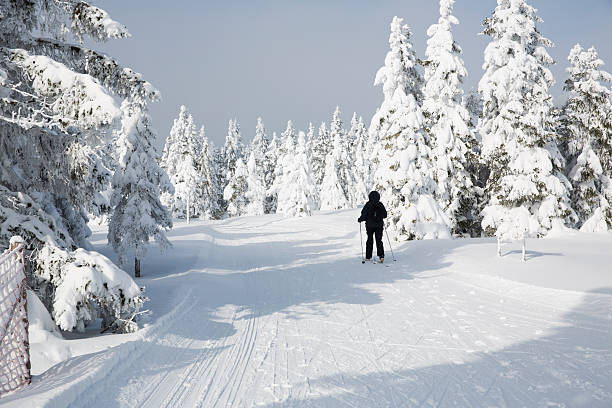 istock Ski runner on a beautiful winter day....Rogla,Slovenia 174877610