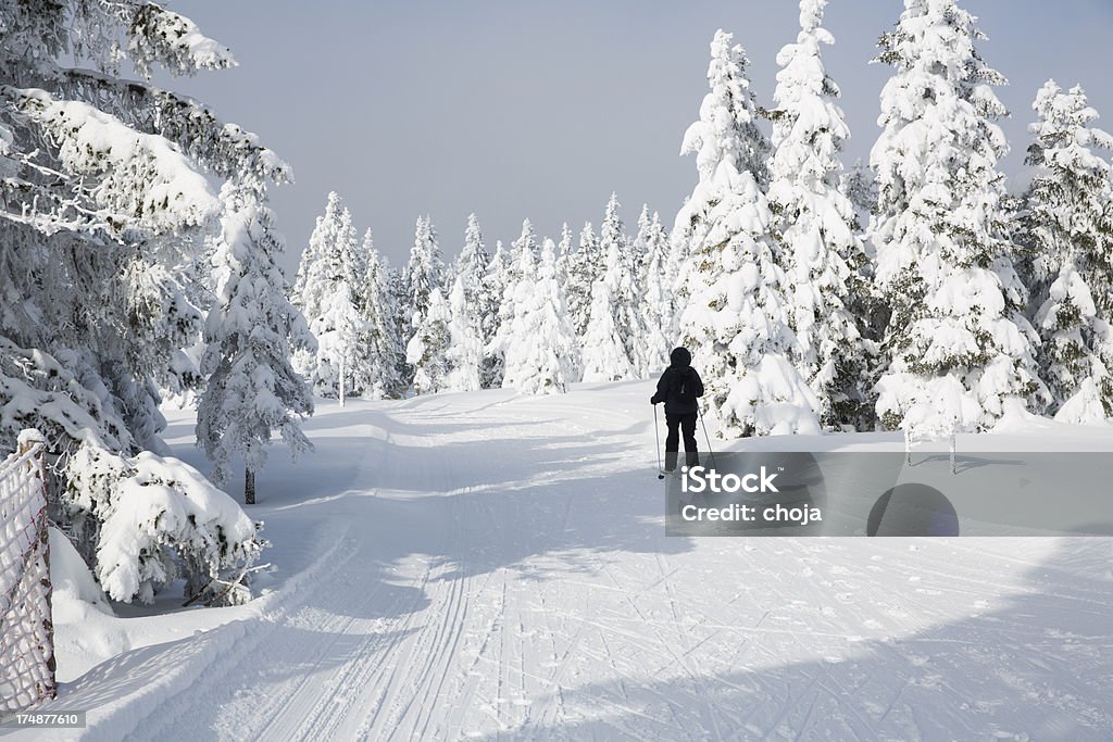 Ski runner na piękny zimowy day.Rogla, Słowenia - Zbiór zdjęć royalty-free (Bez ludzi)