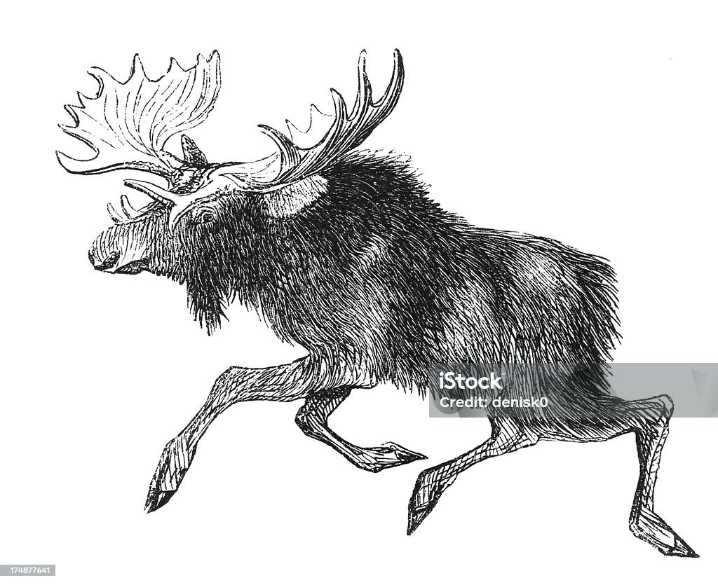 Elk - Royalty-free Animal Ilustração de stock