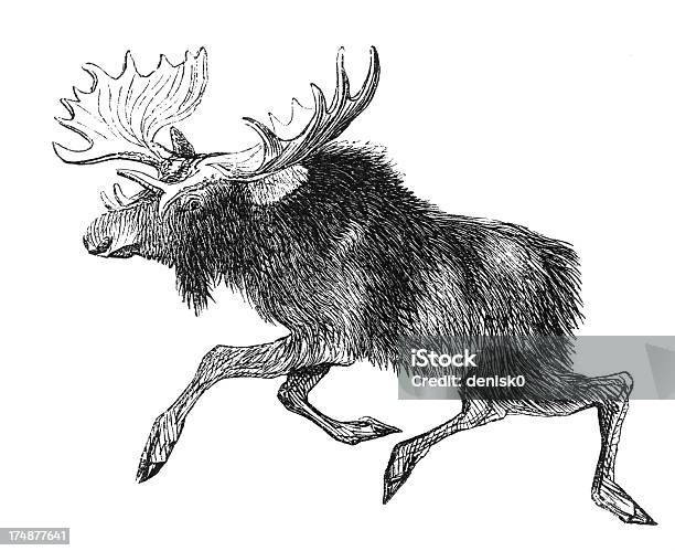 Elk - Arte vetorial de stock e mais imagens de Animal - Animal, Artiodactyla, Caribu - Veado-vermelho