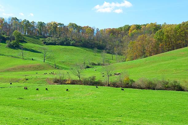 istock West Virginia farmland 174877734