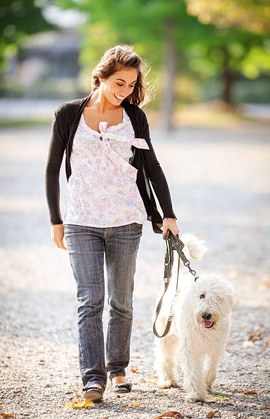 istock Young woman with her dog 174878083