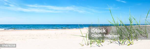 Sand Dunes Panorama - zdjęcia stockowe i więcej obrazów Bez ludzi - Bez ludzi, Bezchmurne niebo, Biały