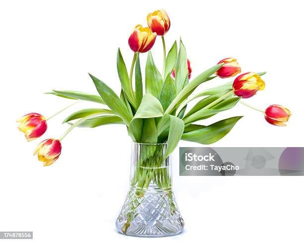 Vaso Di Tulipani Isolato - Fotografie stock e altre immagini di Bicchiere - Bicchiere, Composizione orizzontale, Cristallo