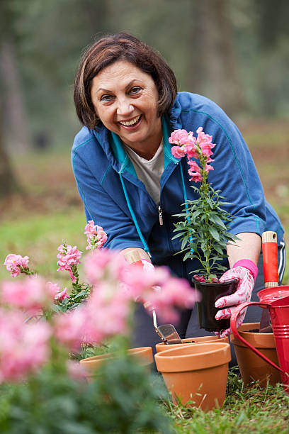 istock Mature Hispanic woman gardening 174878614