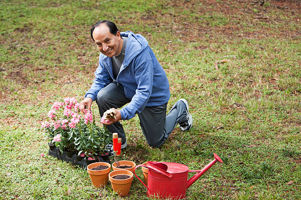 istock Senior Hispanic man gardening 174878616