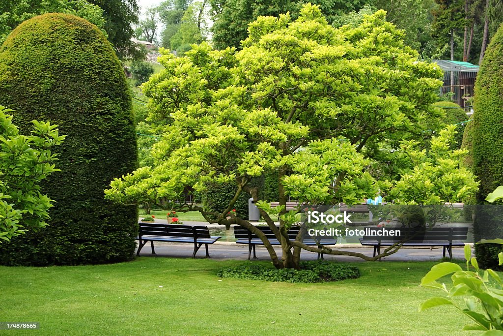 Parkway à Stuttgart - Photo de Allée de jardin libre de droits