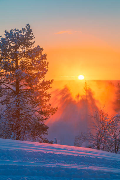 Beautiful sunset view on foggy and snowy forest in Lapland, Finland Landscape shot of beautiful sunrise view on foggy and snowy forest on very cold January day in Levi, Rovaniemi, Lapland, Finland cold-climate-forest stock pictures, royalty-free photos & images