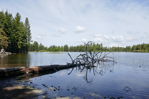 Lassen Nat. Park is a Nationalpark in the northeastern of California. Lassen peak is the largest plug dome volcano in the world. the park was founded by President Theodore Roosevelt in 1907.