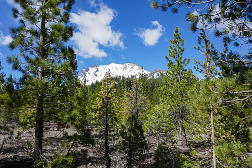 Lassen Nat. Park is a Nationalpark in the northeastern of California. Lassen peak is the largest plug dome volcano in the world. the park was founded by President Theodore Roosevelt in 1907.