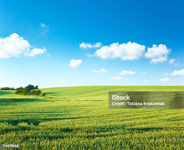 Green Landscape Stock Photo - Download Image Now - Farm, Green Color, Sky