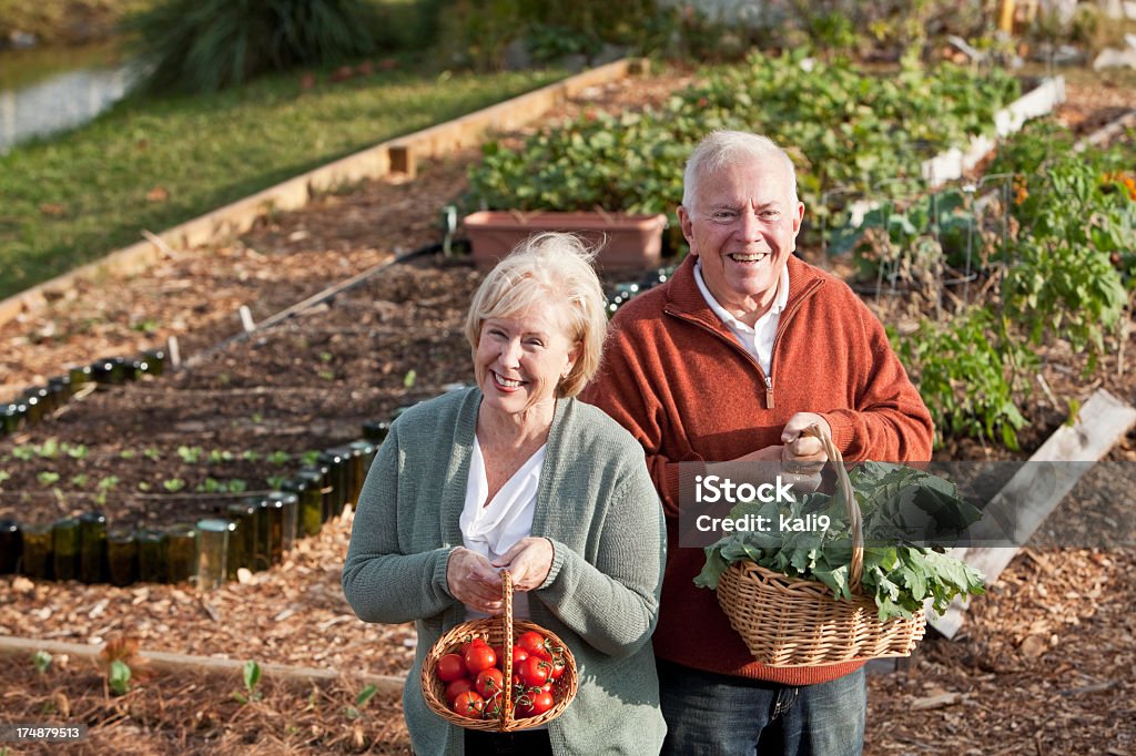 Altes Paar mit Gemüse geerntet vom Garten - Lizenzfrei Frühling Stock-Foto