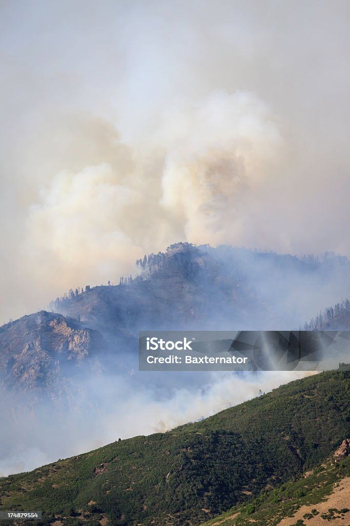 Feu de forêt - Photo de Arbre libre de droits