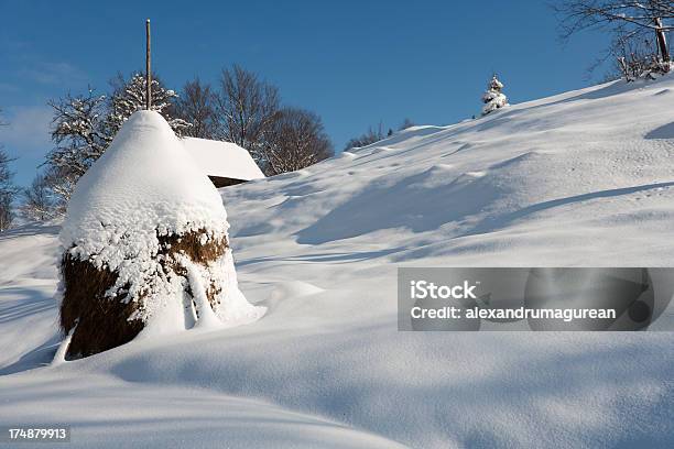 Foto de Hay Pilha e mais fotos de stock de Agricultura - Agricultura, Beleza, Branco