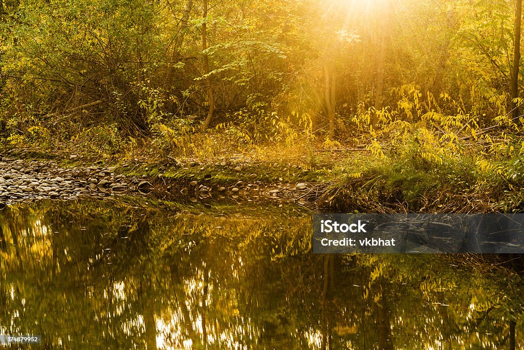 Autumn Scene "Beautiful autumn morning along Boise River in Boise, Idaho, USAPlease visit my below Lightboxes for more Moise and Idaho Image options:" Autumn Stock Photo