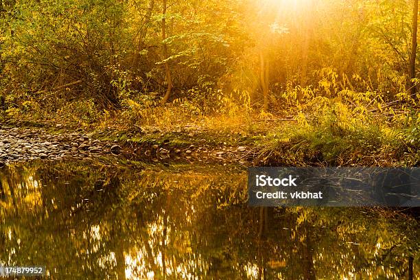 Autumn Scene Stock Photo - Download Image Now - Autumn, Boise, Boise River