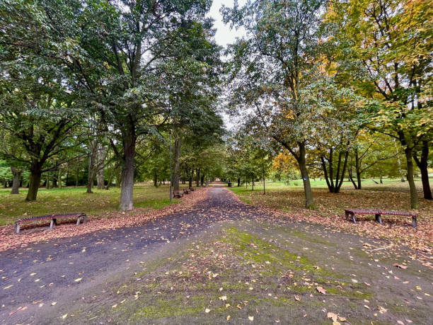 istock The road going straight through Duchcov Park 1748800778