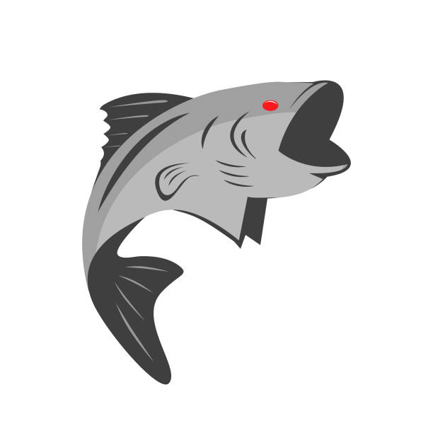 ilustrações de stock, clip art, desenhos animados e ícones de bass fishing logo icon design vector flat isolated illustration - southern usa usa sunrise spray