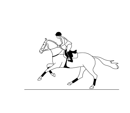 Warmblood horse with athlete on the Equestrian eventing competition