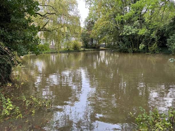 istock Pond over full of water 1748828087