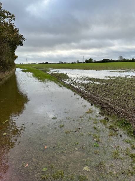 istock Field full of water 1748828105
