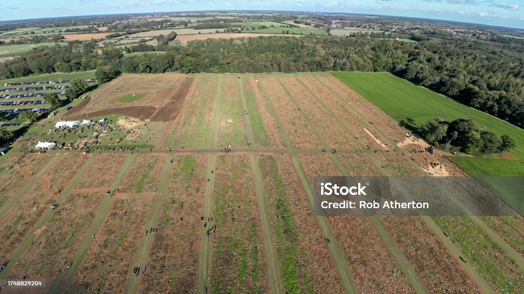 An aerial view of a Pumpkin Patch near Rougham in Suffolk, UK Agricultural Field Stock Photo