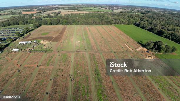 An Aerial View Of A Pumpkin Patch Near Rougham In Suffolk Uk Stock Photo - Download Image Now