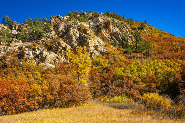 istock Autumn Colors in Roxborough State Park in Colorado 1748846989