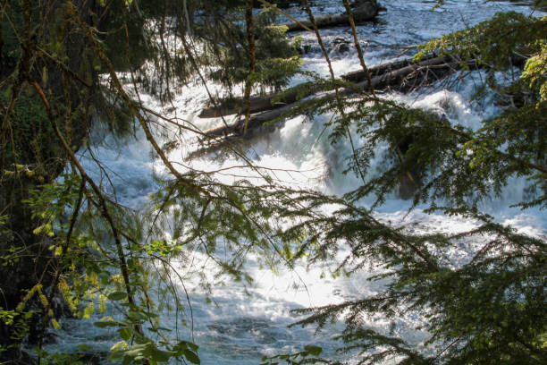 istock Rogue Umpqua Scenic Byway, Oregon, USA 1748851391