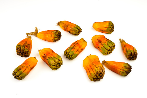 Group of pandanus fruits isolated on white background Scientific name : Pandanus utilis. This plant or fruit are from Madagascar but was introduced in America.