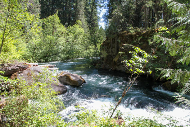 istock Clearwater Falls, Oregon, USA 1748864343
