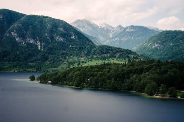 widok na jezioro bohinj w słowenii, w tle alpy julijskie - julian alps lake bohinj lake bohinj zdjęcia i obrazy z banku zdjęć