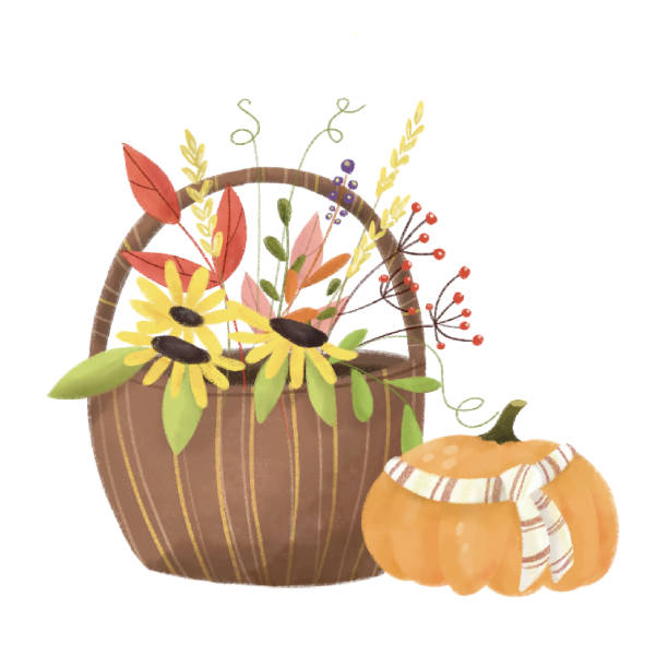 ilustraciones, imágenes clip art, dibujos animados e iconos de stock de cesta de otoño y calabaza. acuarela flor de otoño - hanging flower basket isolated